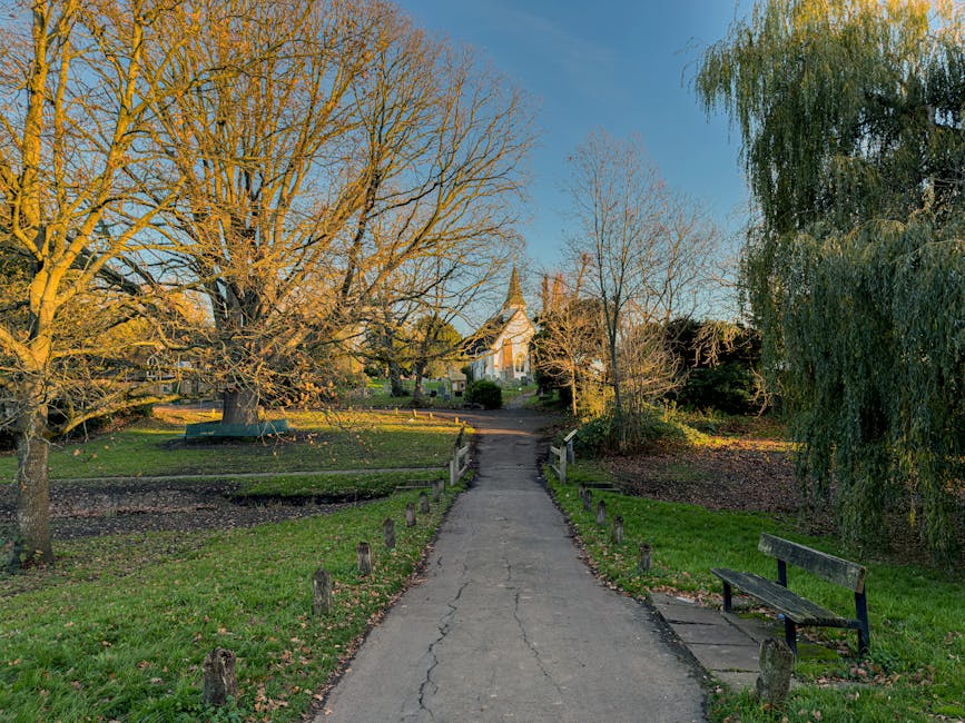 A paved pathway leading through a park area on a clear day, with leafless trees on either side casting shadows on the ground. In the background, residential houses and a church steeple are visible, wi